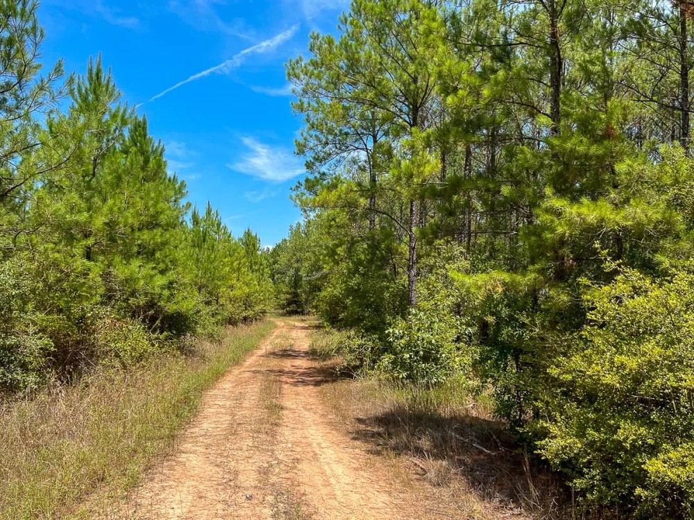 451 Acres The Game Preserve featured image