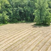 3993 Brighton Bunker Hill Rd Brighton IL images 5