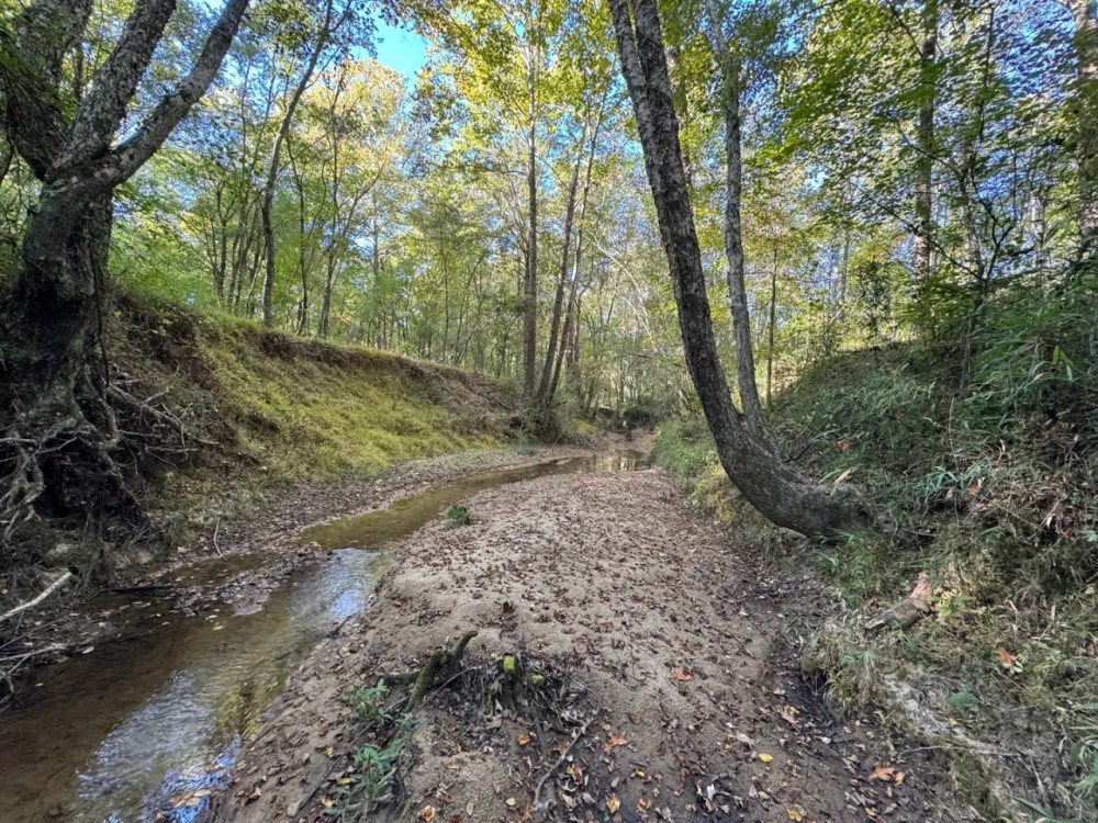39 Acres in Lafayette County MS featured image