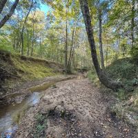 39 Acres in Lafayette County MS