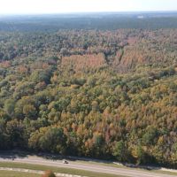 39 Acres in Lafayette County MS images 2
