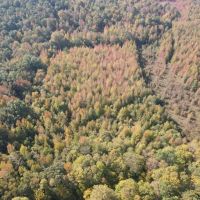 39 Acres in Lafayette County MS images 3