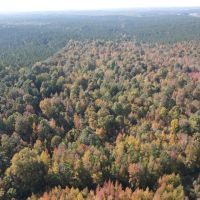 39 Acres in Lafayette County MS images 4