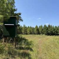 45 Acre Timberland Hunting Lincoln County South MS