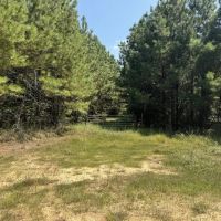 45 Acre Timberland Hunting Lincoln County South MS images 3