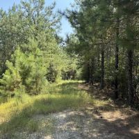 45 Acre Timberland Hunting Lincoln County South MS images 5