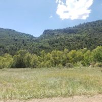 32 Filing 2 Ponderosa Hills