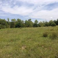 32 Filing 2 Ponderosa Hills images 2