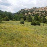 32 Filing 2 Ponderosa Hills images 3