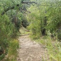 32 Filing 2 Ponderosa Hills images 4
