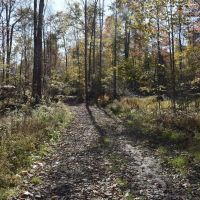 Buells Corners Beauty images 3