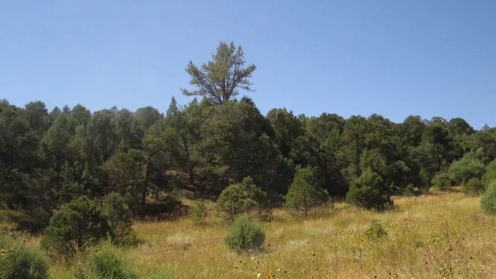 20 Picketwire Ranch featured image