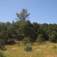 20 Picketwire Ranch