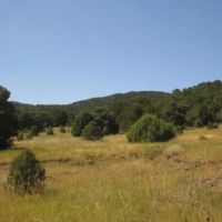 20 Picketwire Ranch images 2