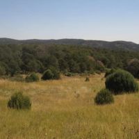20 Picketwire Ranch images 3