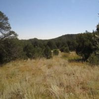 20 Picketwire Ranch images 4