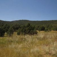 20 Picketwire Ranch images 5