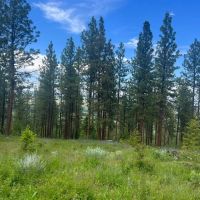 Antelope Mountain Property images 3