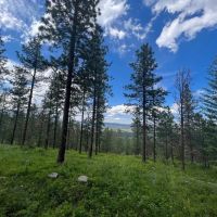 Antelope Mountain Property images 5
