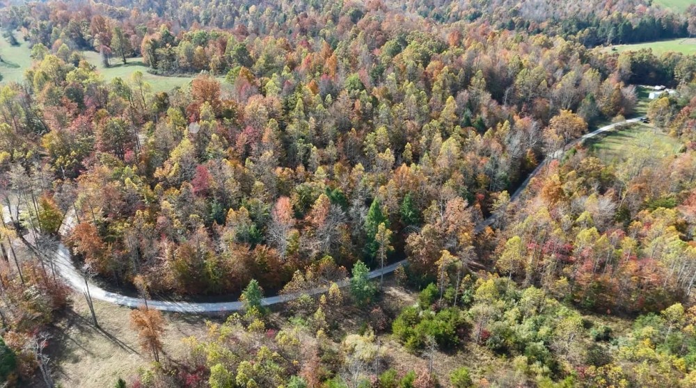 100 - Acre Hunting Tract in Morehead KY featured image