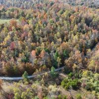 100 - Acre Hunting Tract in Morehead KY