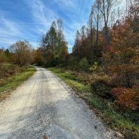 100 - Acre Hunting Tract in Morehead KY images 3