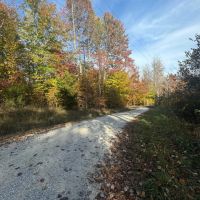 100 - Acre Hunting Tract in Morehead KY images 4