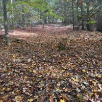 100 - Acre Hunting Tract in Morehead KY images 5