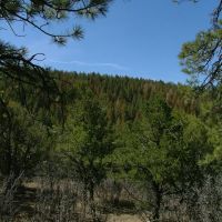 E4 Santa Fe Trail Ranch images 5
