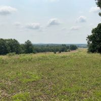 Cattle Hunting Recreation Ranch for Sale images 5