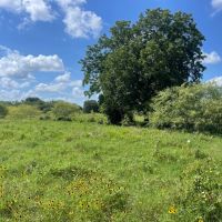260 Dawson Texas images 3