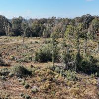 LA - Caldwell 80 acres - images 5