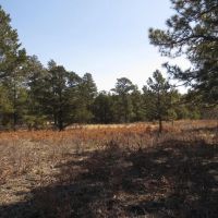 B34 Santa Fe Trail Ranch images 5