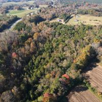 7.56 Acres of Recreational Rural Residential and Hunting Land For Sale in Pittsylvania County VA images 2