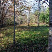 7.56 Acres of Recreational Rural Residential and Hunting Land For Sale in Pittsylvania County VA images 3