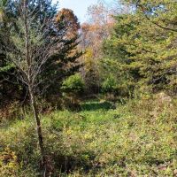 7.56 Acres of Recreational Rural Residential and Hunting Land For Sale in Pittsylvania County VA images 5