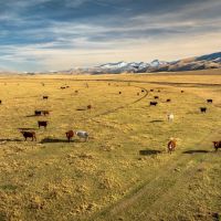 Elk Meadows Ranch