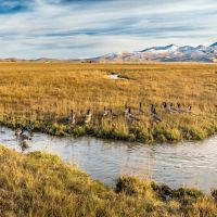 Elk Meadows Ranch images 3