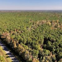 18.99 acres of Multi-Use Residential and Recreational Land For Sale in Duplin County NC images 2
