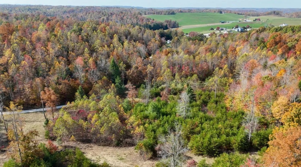 45 - acres in Morehead KY featured image