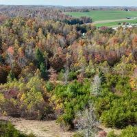 45 - acres in Morehead KY