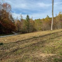 45 - acres in Morehead KY images 2