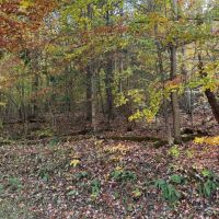 45 - acres in Morehead KY images 3