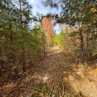 45 - acres in Morehead KY images 4