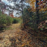 45 - acres in Morehead KY images 5