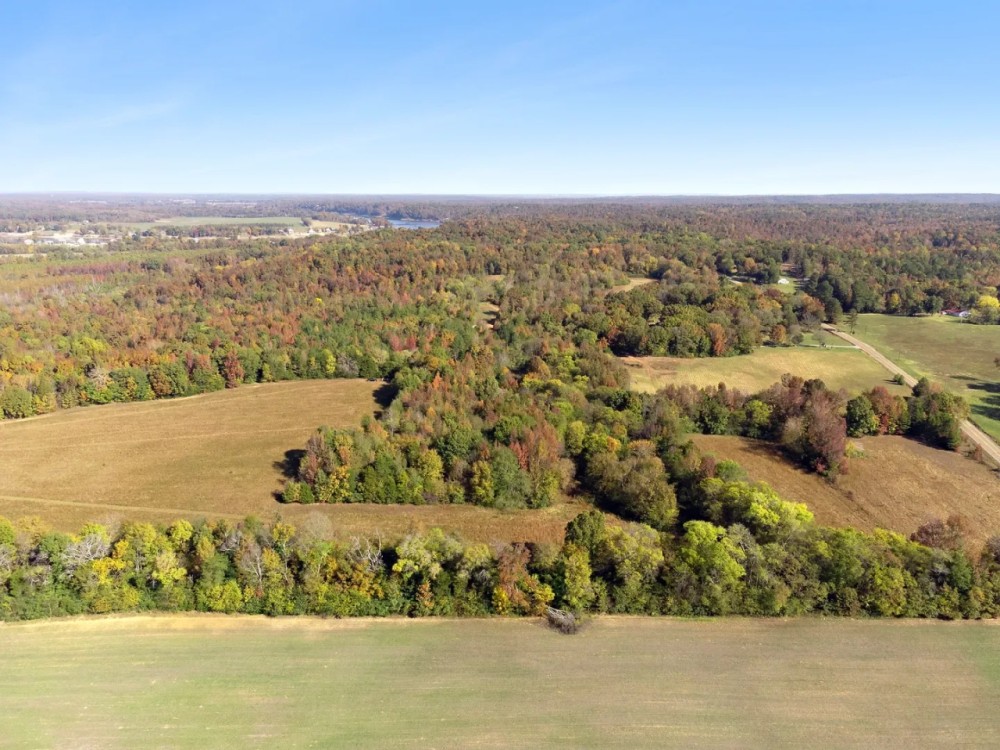 85 Acres in Hardin County TN featured image