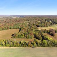 85 Acres in Hardin County TN
