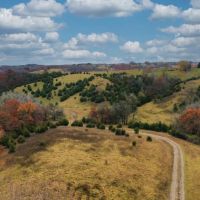 Dallas County IA Land For Sale 120 - Acres images 2