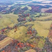 Dallas County IA Land For Sale 120 - Acres images 3