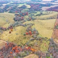 Dallas County IA Land For Sale 120 - Acres images 4